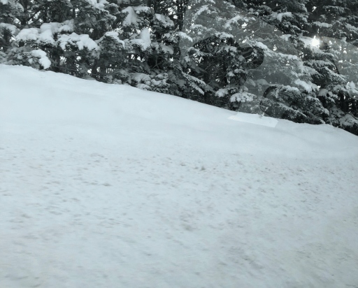 北海道の冬景色